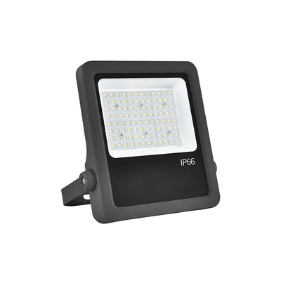 Flusso di alluminio a colata 100W luci a LED per giardino interno