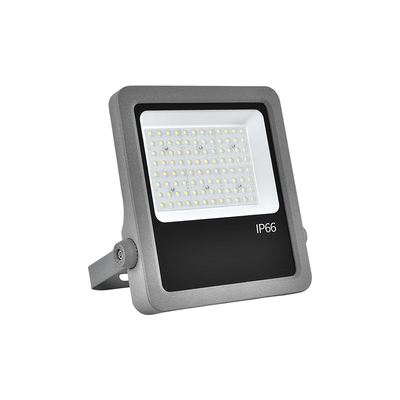 Flusso di alluminio a colata 100W luci a LED per giardino interno